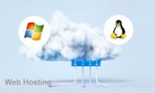 Web Hosting