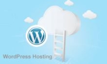 2 WordPress Hosting